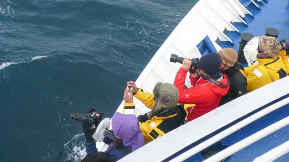 Todos ao conés para fotos! (em Salisbury Plain, na Geórgia do Sul -foto de Peter)